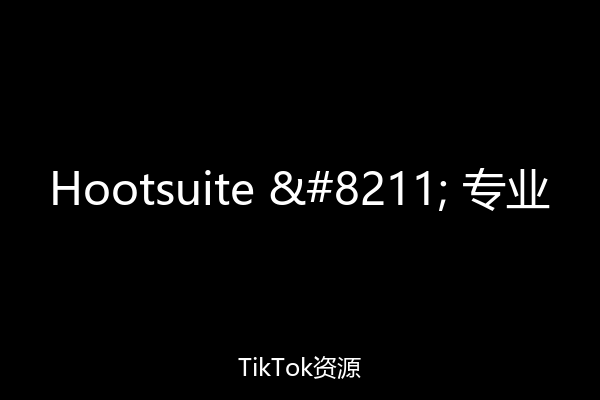 Hootsuite – 专业