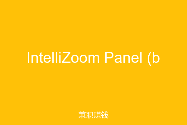 IntelliZoom Panel (b