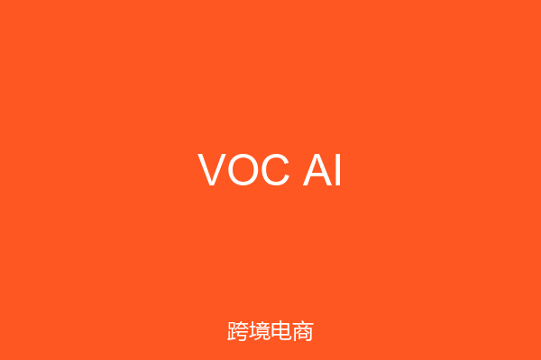 VOC AI